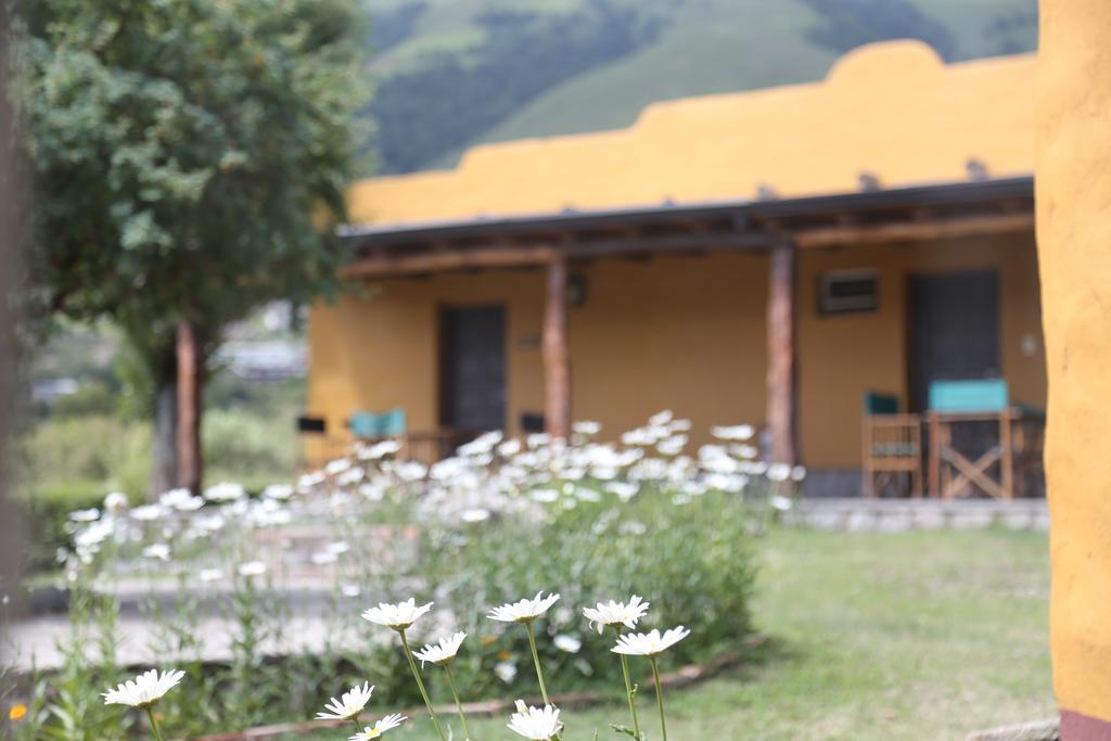 Inn La Guadalupe Tafi del Valle